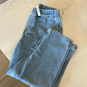 Madewell Pull-On Relaxed Jeans in Lisford Wash